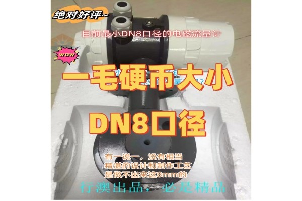 比一毛硬币还要小的DN8口径的电磁流量计