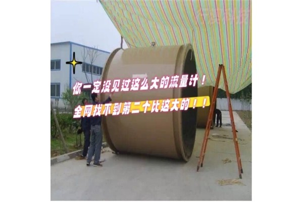 这么大的流量计你见过吗？